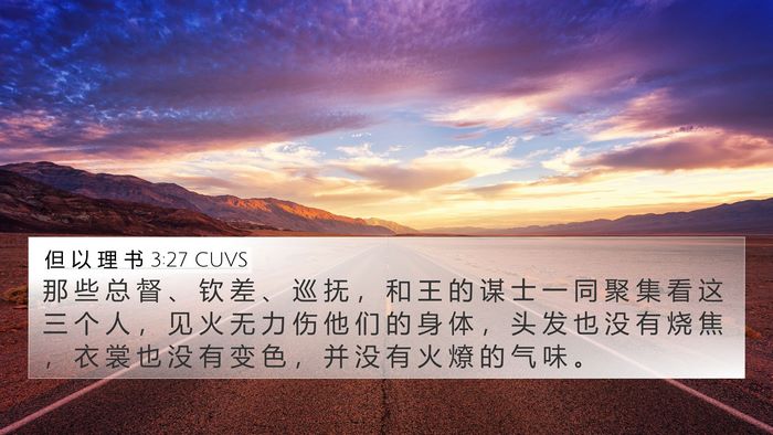 但 以 理 书 3:27 CUVS Bible Verse Image