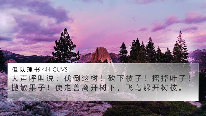 但 以 理 书 4:14 CUVS Bible Verse Image