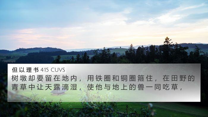 但 以 理 书 4:15 CUVS Bible Verse Image