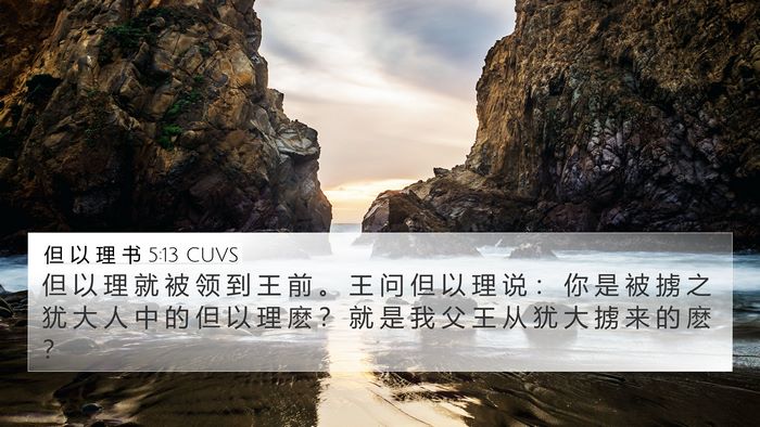 但 以 理 书 5:13 CUVS Bible Verse Image