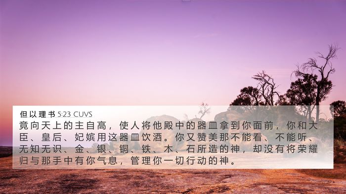 但 以 理 书 5:23 CUVS Bible Verse Image