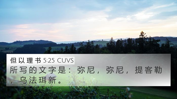 但 以 理 书 5:25 CUVS Bible Verse Image
