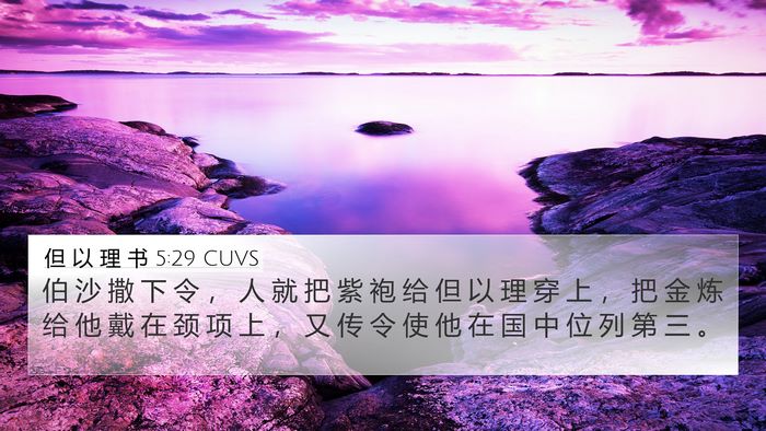 但 以 理 书 5:29 CUVS Bible Verse Image