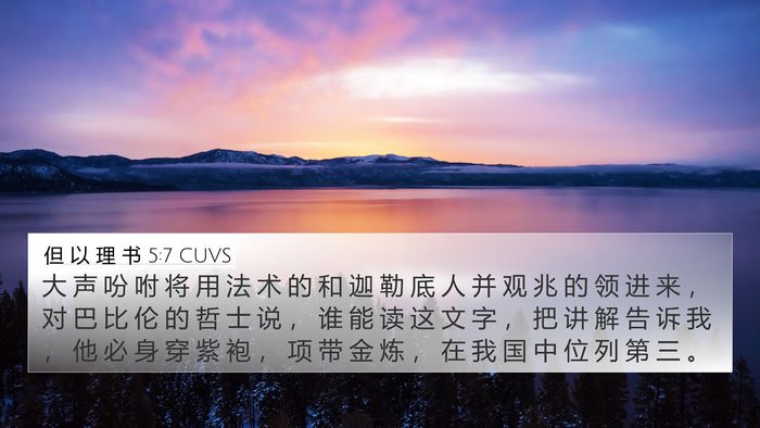 但 以 理 书 5:7 CUVS Bible Verse Image