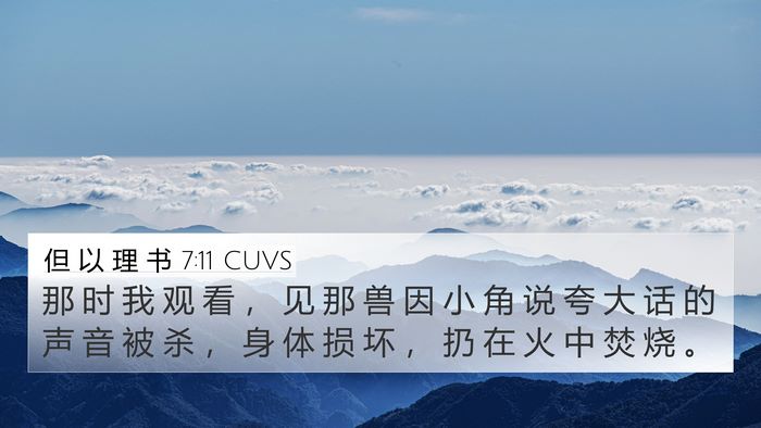 但 以 理 书 7:11 CUVS 4K Wallpaper - 那 时 我 观 看 ， 见 那 兽 因 小 角 - 4K Wallpaper Bible Verse