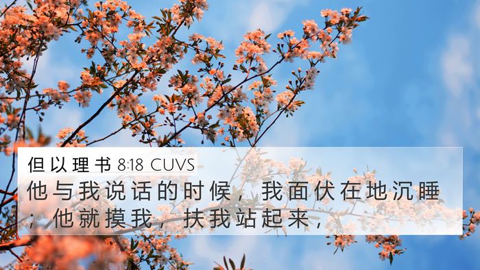 但 以 理 书 8:18 CUVS Bible Verse Image
