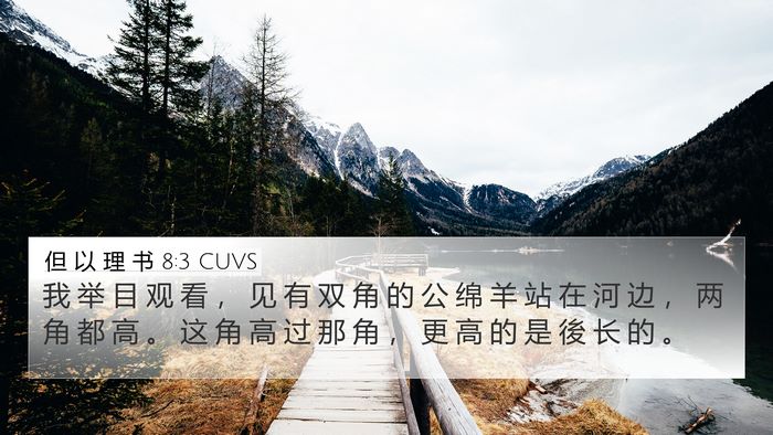 但 以 理 书 8:3 CUVS Bible Verse Image