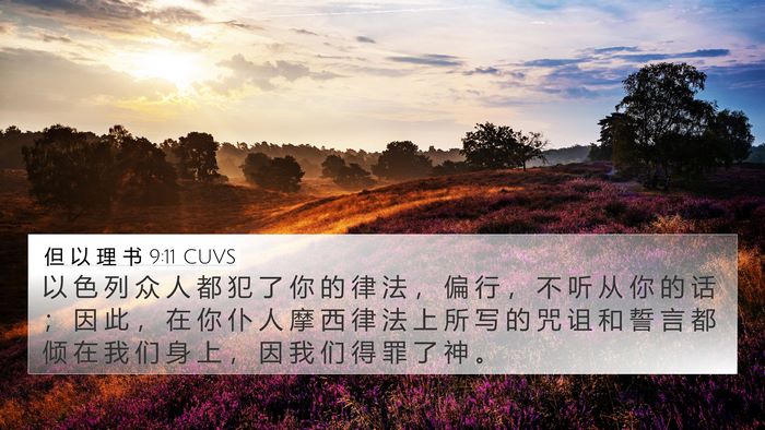 但 以 理 书 9:11 CUVS Bible Verse Image