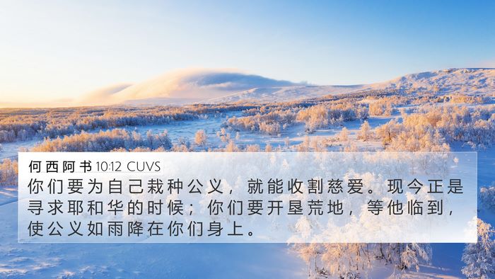何 西 阿 书 10:12 CUVS Bible Verse Image