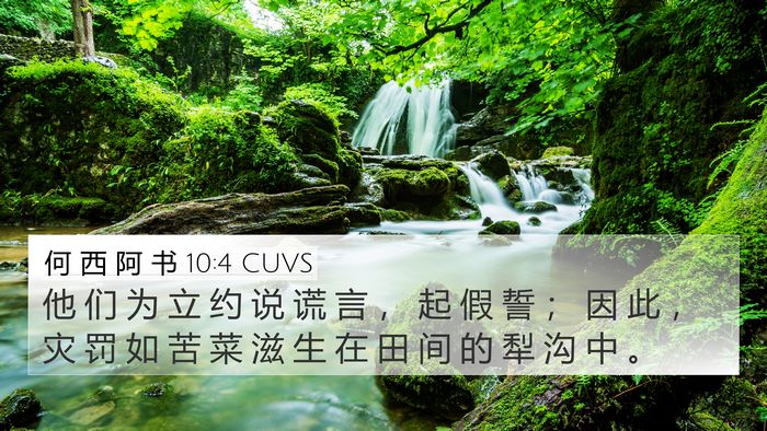 何 西 阿 书 10:4 CUVS Bible Verse Image