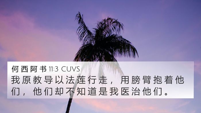 何 西 阿 书 11:3 CUVS 4K Wallpaper - 我 原 教 导 以 法 莲 行 走 ， 用 膀 - 4K Wallpaper Bible Verse