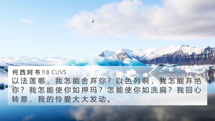 何 西 阿 书 11:8 CUVS Bible Verse Image
