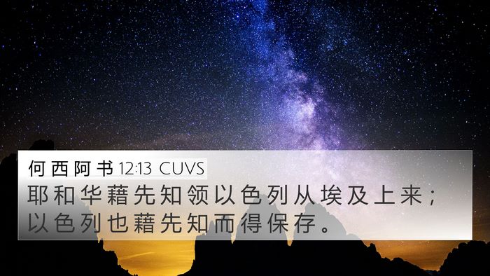 何 西 阿 书 12:13 CUVS Bible Verse Image