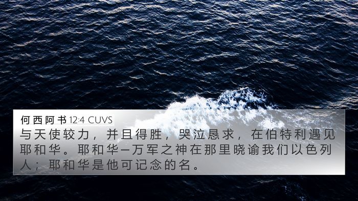 何 西 阿 书 12:4 CUVS Bible Verse Image