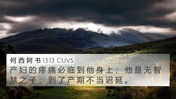何 西 阿 书 13:13 CUVS Bible Verse Image