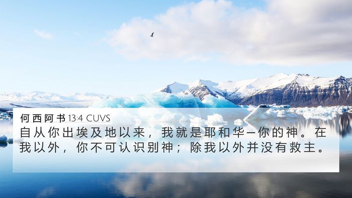 何 西 阿 书 13:4 CUVS Bible Verse Image