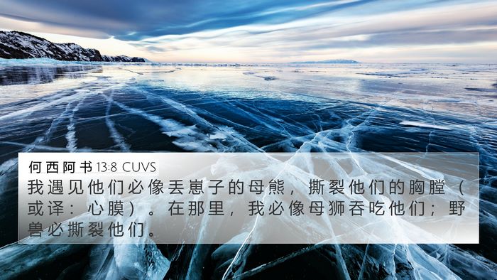何 西 阿 书 13:8 CUVS Bible Verse Image