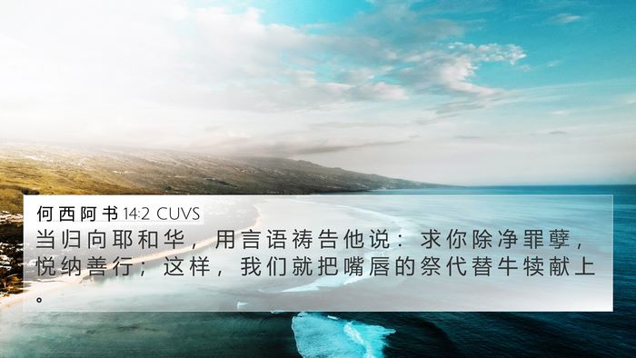 何 西 阿 书 14:2 CUVS Bible Verse Image
