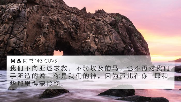 何 西 阿 书 14:3 CUVS Bible Verse Image