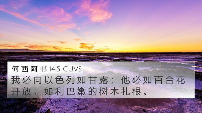 何 西 阿 书 14:5 CUVS Bible Verse Image