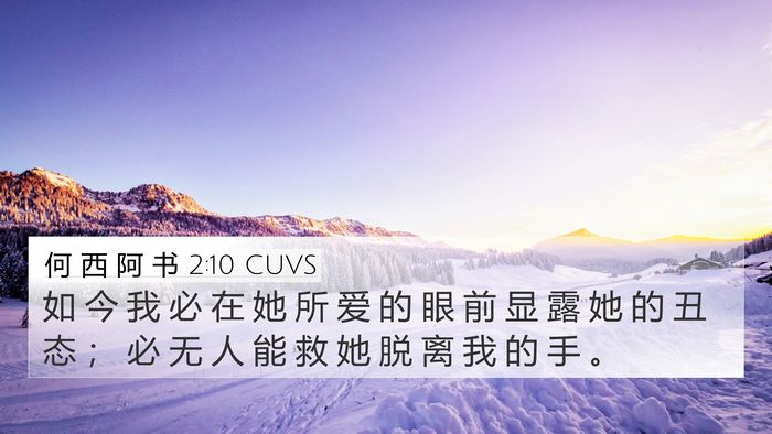 何 西 阿 书 2:10 CUVS Bible Verse Image