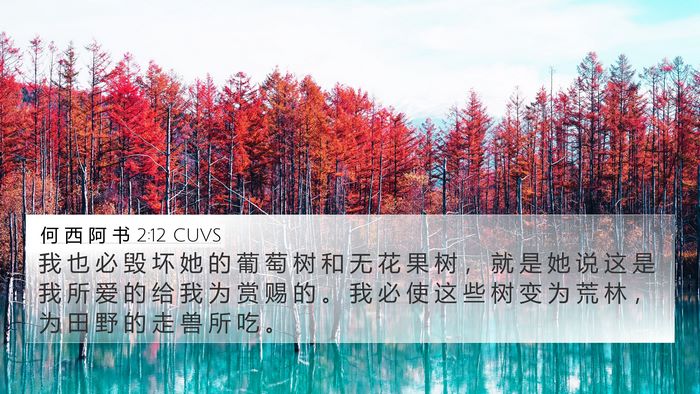 何 西 阿 书 2:12 CUVS Bible Verse Image