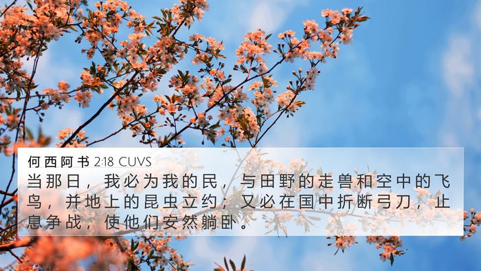何 西 阿 书 2:18 CUVS Bible Verse Image