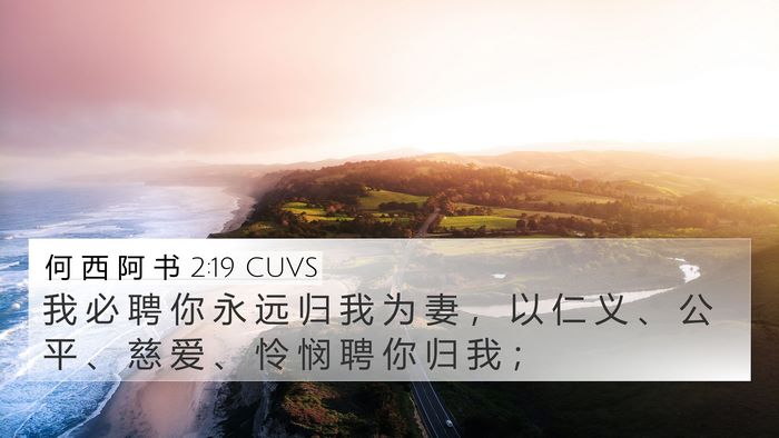 何 西 阿 书 2:19 CUVS Bible Verse Image
