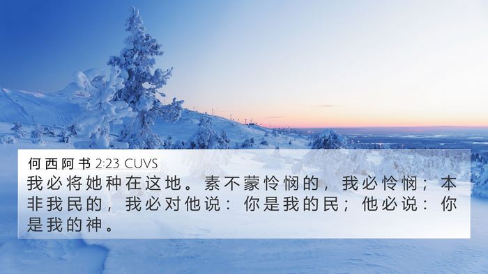 何 西 阿 书 2:23 CUVS Bible Verse Image