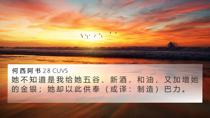 何 西 阿 书 2:8 CUVS Bible Verse Image