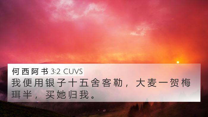 何 西 阿 书 3:2 CUVS Bible Verse Image