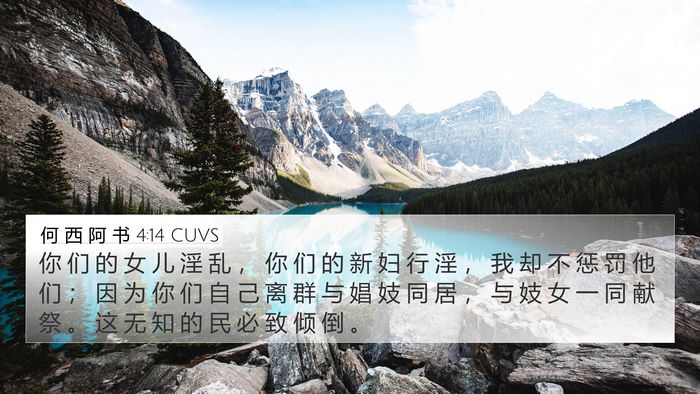 何 西 阿 书 4:14 CUVS Bible Verse Image