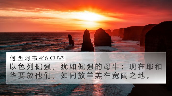 何 西 阿 书 4:16 CUVS Bible Verse Image