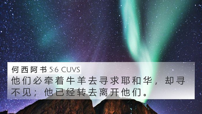 何 西 阿 书 5:6 CUVS 4K Wallpaper - 他 们 必 牵 着 牛 羊 去 寻 求 耶 和 - 4K Wallpaper Bible Verse