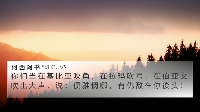 何 西 阿 书 5:8 CUVS Bible Verse Image
