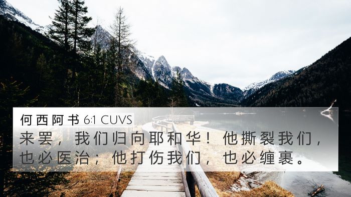 何 西 阿 书 6:1 CUVS Bible Verse Image