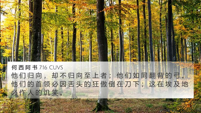 何 西 阿 书 7:16 CUVS Bible Verse Image