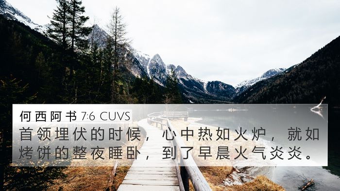 何 西 阿 书 7:6 CUVS Bible Verse Image