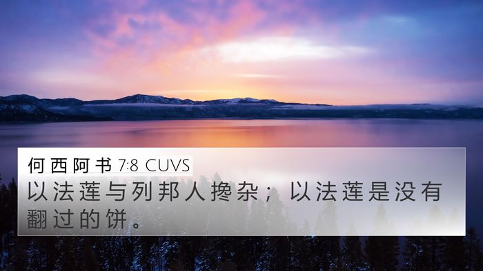 何 西 阿 书 7:8 CUVS Bible Verse Image
