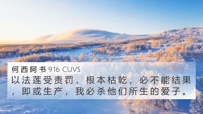 何 西 阿 书 9:16 CUVS Bible Verse Image