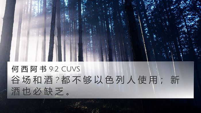 何 西 阿 书 9:2 CUVS Bible Verse Image
