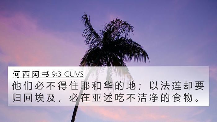 何 西 阿 书 9:3 CUVS Bible Verse Image