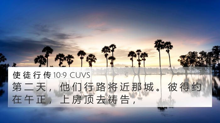 使 徒 行 传 10:9 CUVS Bible Verse Image
