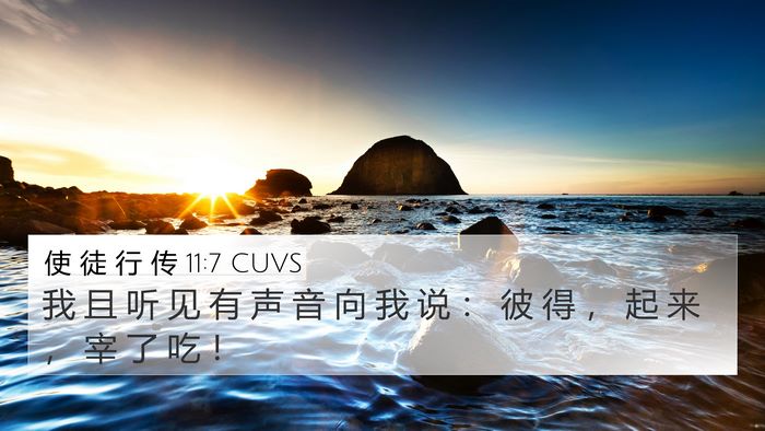 使 徒 行 传 11:7 CUVS 4K Wallpaper - 我 且 听 见 有 声 音 向 我 说 ： 彼 - 4K Wallpaper Bible Verse