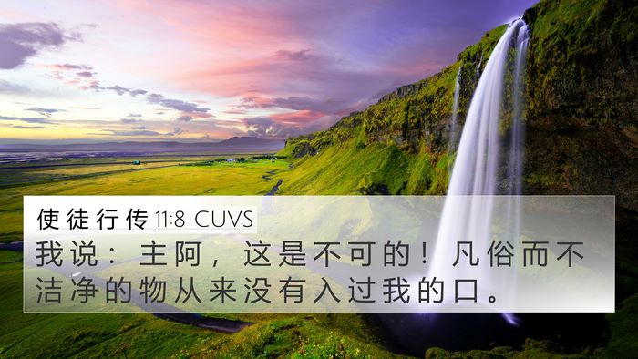 使 徒 行 传 11:8 CUVS Bible Verse Image
