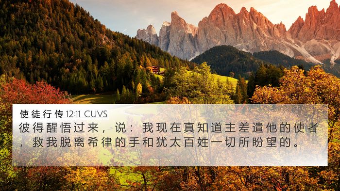 使 徒 行 传 12:11 CUVS Bible Verse Image