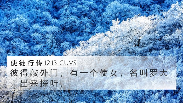 使 徒 行 传 12:13 CUVS Bible Verse Image
