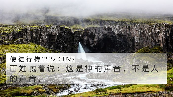 使 徒 行 传 12:22 CUVS Bible Verse Image