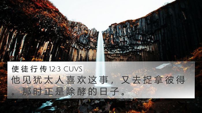 使 徒 行 传 12:3 CUVS Bible Verse Image