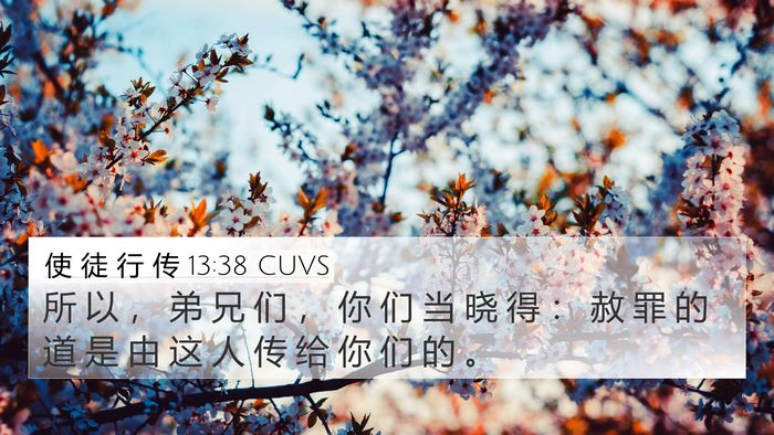 使 徒 行 传 13:38 CUVS Bible Verse Image